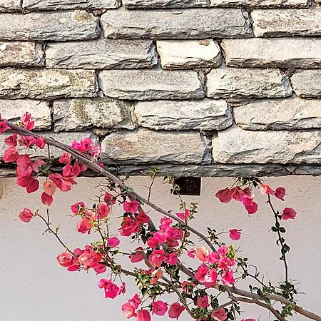 Aeolos & - Pelion Hotel