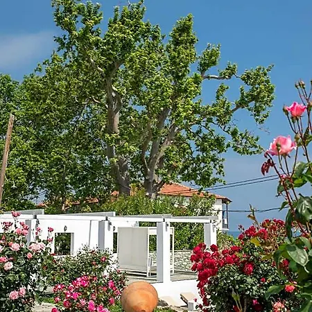 Aeolos & - Pelion Hotel 3*